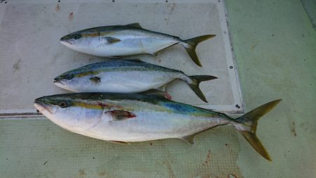 FISHING RISKY 釣果