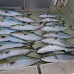 FISHING RISKY 釣果