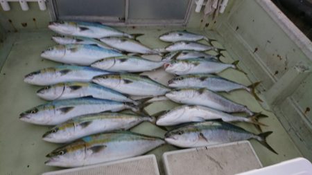 FISHING RISKY 釣果