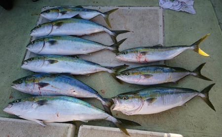 FISHING RISKY 釣果