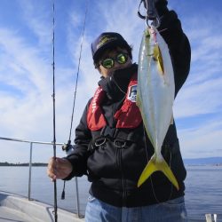 Chase(チェイス) 釣果