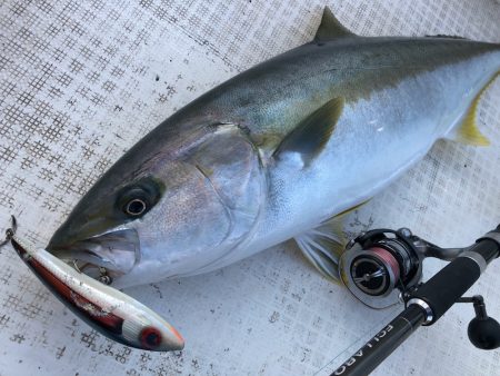「LaGooN」蒼陽丸 日和号　 釣果
