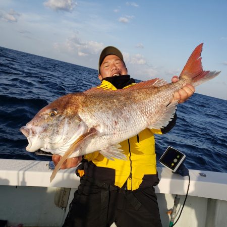 シーライオン 釣果