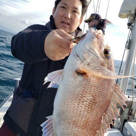 シーライオン 釣果