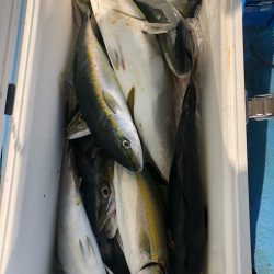 ヤザワ渡船 釣果