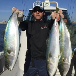 ビッグファイター 釣果