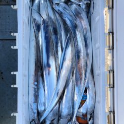 フィッシング キッタカ 釣果