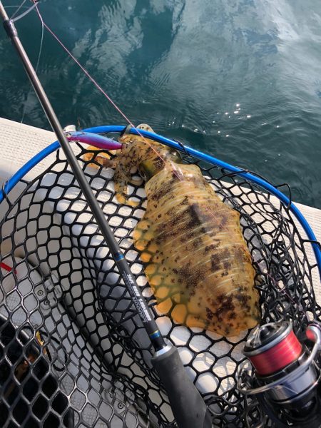「LaGooN」蒼陽丸 日和号　 釣果