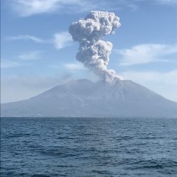 龍神丸(鹿児島) 釣果