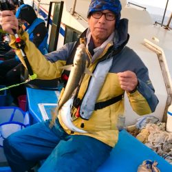 ヤザワ渡船 釣果