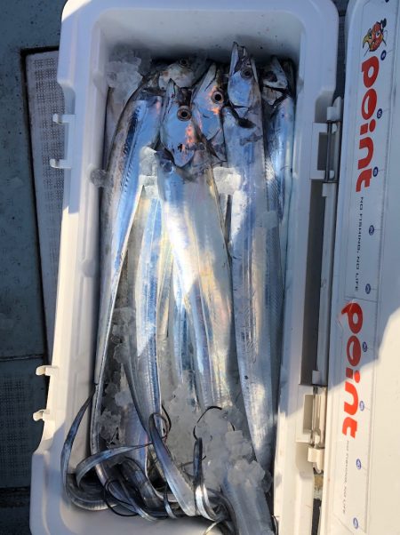 フィッシング キッタカ 釣果