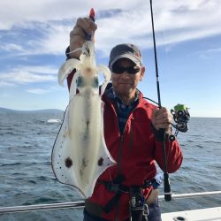 South Current 釣果