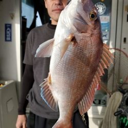 遊漁船 ニライカナイ 釣果