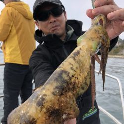 Magic（マジック） 釣果