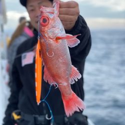 へいみつ丸 釣果