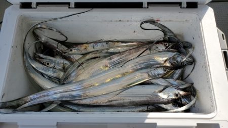 遊漁船　ニライカナイ 釣果