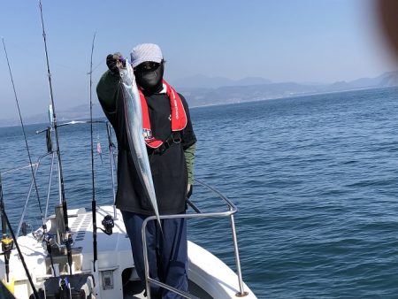 sea boss シーボス 釣果