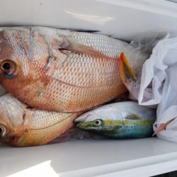 オーフリー 釣果