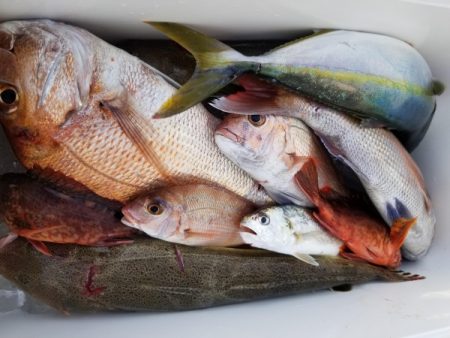 オーフリー 釣果