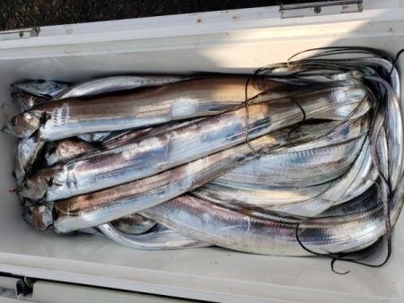 オーフリー 釣果