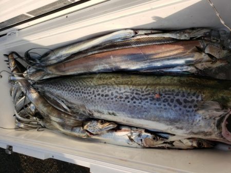 オーフリー 釣果