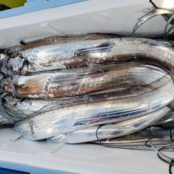 オーフリー 釣果