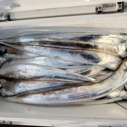 オーフリー 釣果