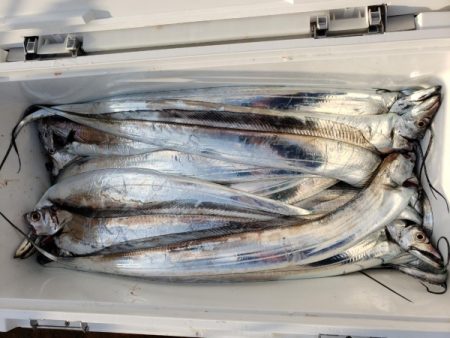 オーフリー 釣果