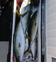 海龍丸（福岡） 釣果