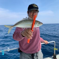 マタウマリンサービス 釣果