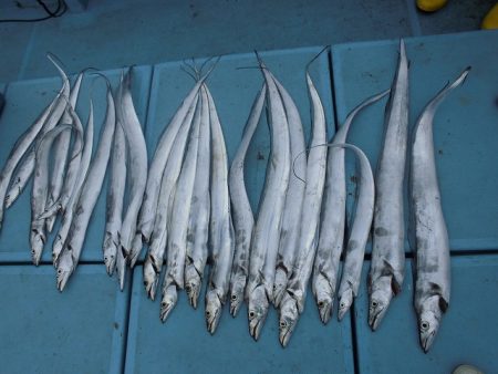 十八宝洋丸 釣果