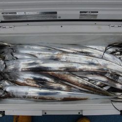 十八宝洋丸 釣果