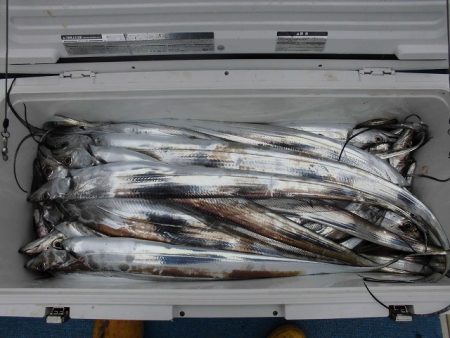 十八宝洋丸 釣果