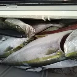 海龍丸（福岡） 釣果