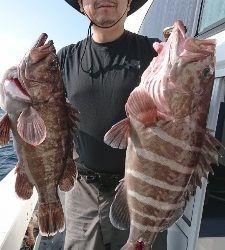 海龍丸（福岡） 釣果