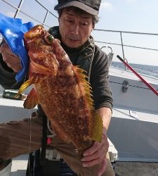 海龍丸（福岡） 釣果