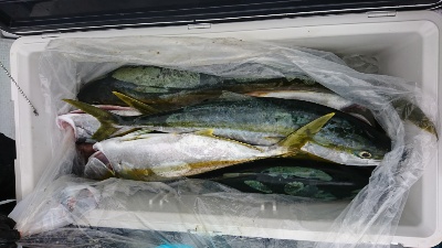 海龍丸(福岡) 釣果