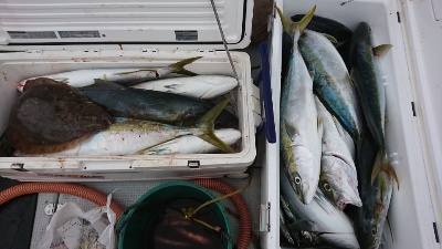 海龍丸(福岡) 釣果