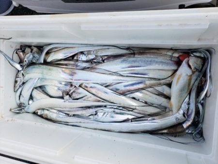 オーフリー 釣果