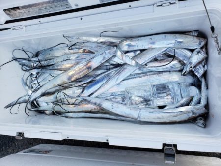 オーフリー 釣果