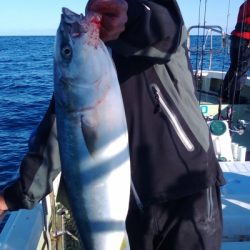 はま丸 釣果
