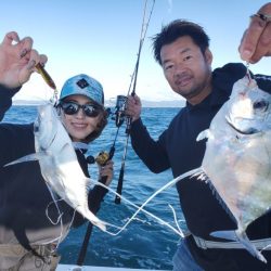 ブルーピア 釣果