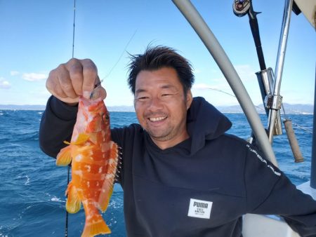 ブルーピア 釣果