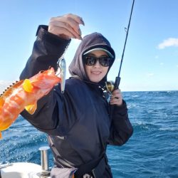 ブルーピア 釣果