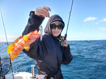 ブルーピア 釣果