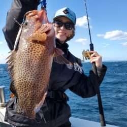 ブルーピア 釣果