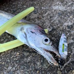 周りが釣る前に釣ってしまうメタルジャッカーSJ【LUMICA（ルミカ）メタルジャッカーSJ　インプレッション】