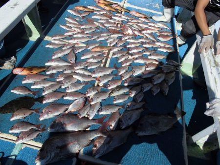 十八宝洋丸 釣果