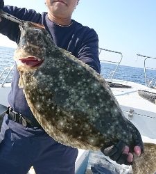 海龍丸（福岡） 釣果