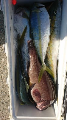 海龍丸（福岡） 釣果